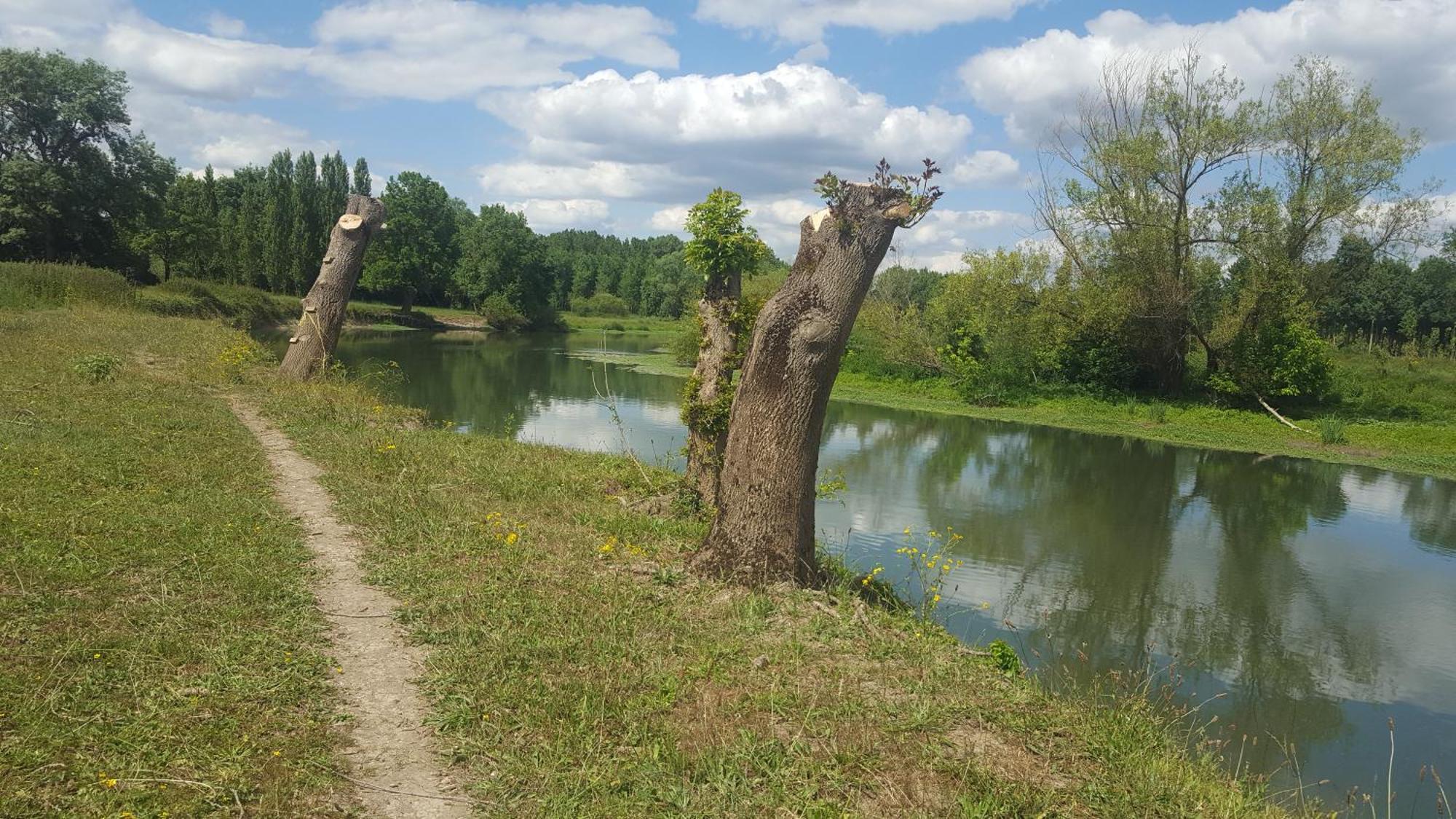 Gite Angers Proche Briollay Exterior photo